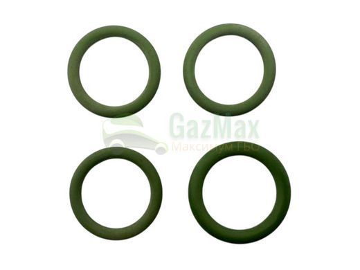 Ремкомплект редуктора STAG R02 / R02 EL WGM-70AB